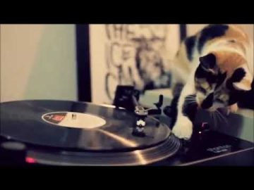 Dmc Mystic hqdefault-32-360x270 #Dmc Mystic - The hip hop cat gigs scratch demo Video Tracks - Catalog  