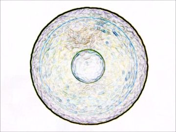 Dmc Mystic maxresdefault-70-360x270 Dmc Mystic - Eggshare (MR DJ mix) Instrum Video Tracks - Catalog  