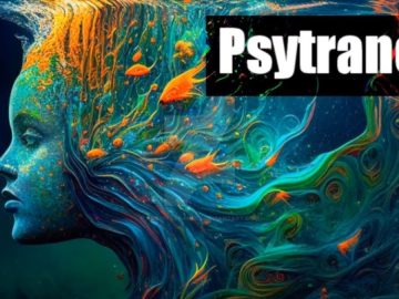 Dmc Mystic maxresdefault-14-360x270 Dmc Mystic - Liquid waves (Psytrance mushroom mix) Video Tracks - Catalog  