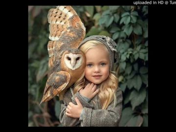 Dmc Mystic maxresdefault-101-360x270 Dmc Mystic Progressive House Pleiadian child mi Video Tracks - Catalog  