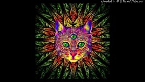 Dmc Mystic maxresdefault-71-300x169 Dmc Mystic Goa Trance Garage live mix #dmc mys  