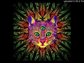Dmc Mystic maxresdefault-71-360x270 Dmc Mystic Goa Trance Garage live mix #dmc mys Video Tracks - Catalog  