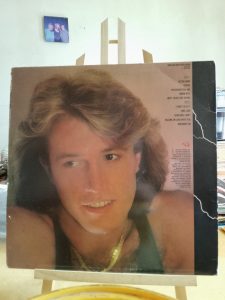 Dmc Mystic 33-RPM-Vinyl-Records-Display-Items-Secondhand-and-Flea-Markets-Bin-1-article-page-194-225x300 33-RPM-Vinyl-Records-Display-Items-Secondhand-and-Flea-Markets-Bin-1-article-page (194)  